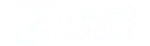 TV-nätverk IPTV